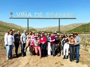 Wine tasting tours tijuana to valle de guadalupe