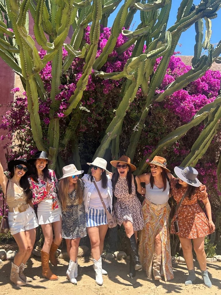 Tours in Valle de Guadalupe - Tijuana to Valle de Guadalupe Tours