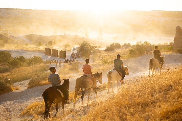 Affordable horseback riding tour in Valle de Guadalupe