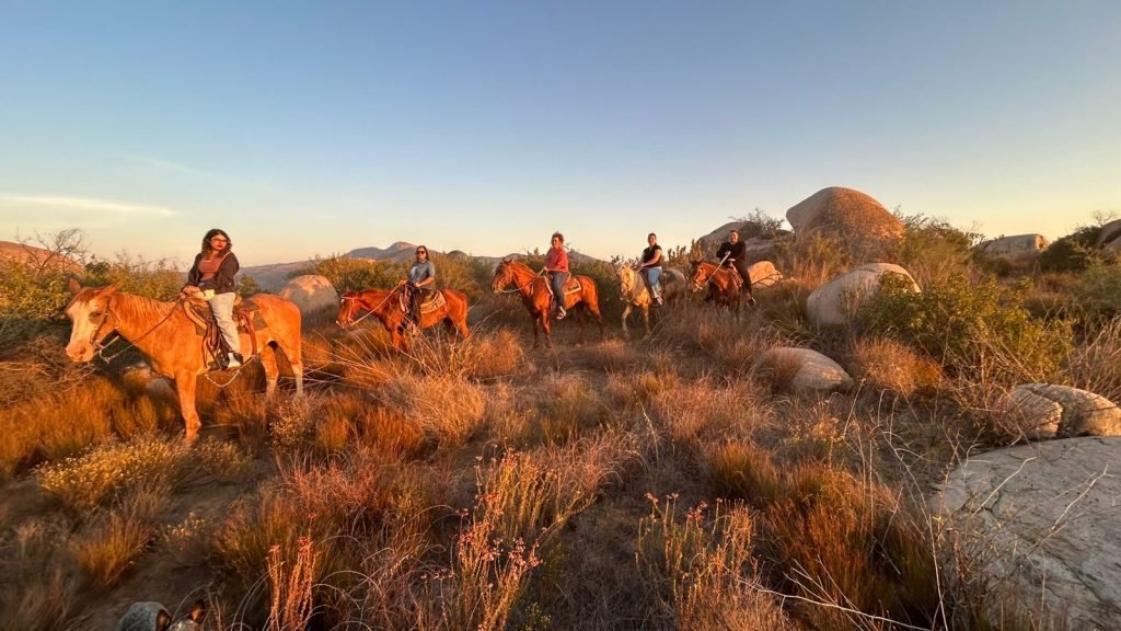 Guided horse ride through Baja wine country