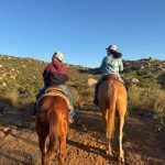 Family-friendly horseback riding experience in Valle de Guadalupe