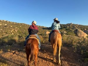 Family-friendly horseback riding experience in Valle de Guadalupe
