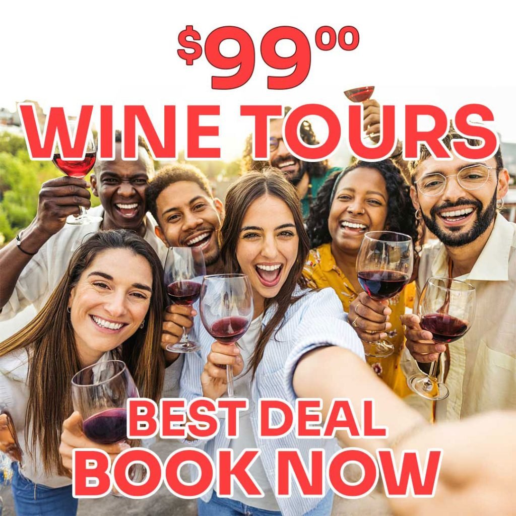 Friends enjoying a $99 all-day wine tasting tour in Valle de Guadalupe with Red Wine Tours in Baja, departing from Tijuana.