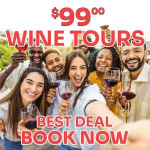 Friends enjoying a $99 all-day wine tasting tour in Valle de Guadalupe with Red Wine Tours in Baja, departing from Tijuana.