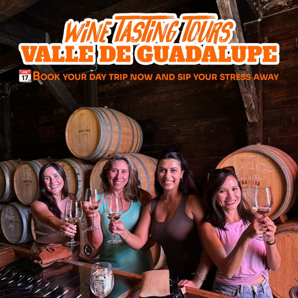$99 Valle de Guadalupe tours from Ensenada including cruise ship port pick-up and private transportation to boutique Baja wineries.