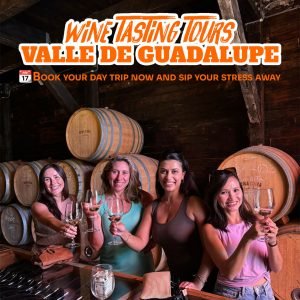$99 Valle de Guadalupe tours from Ensenada including cruise ship port pick-up and private transportation to boutique Baja wineries.